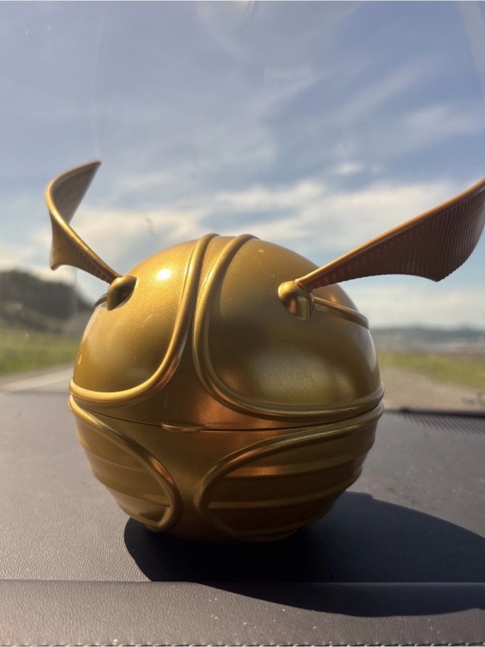 Tim Hortons x Harry Potter Golden Snitch Timbit Bucket